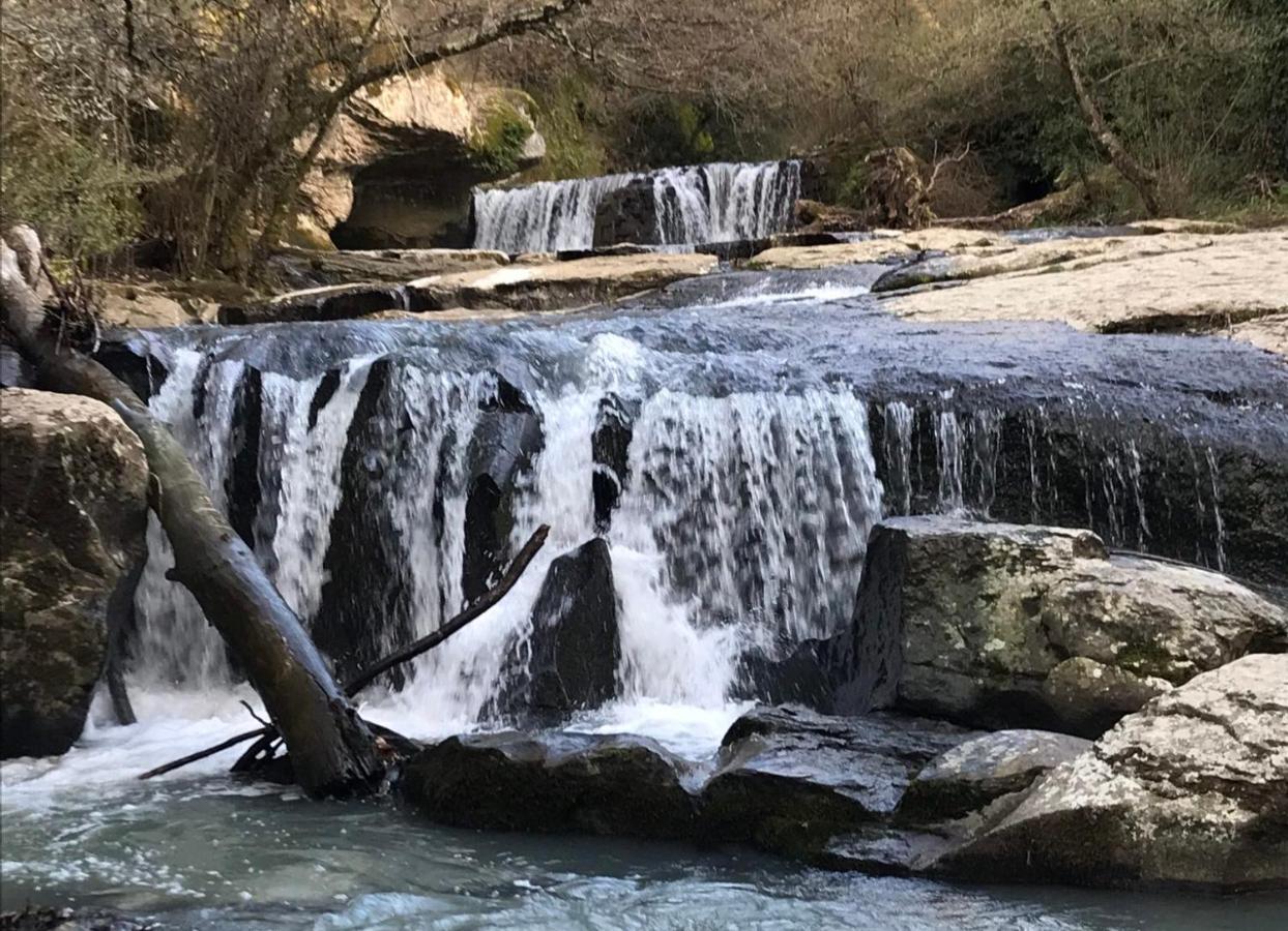 B&B Il Grifo Bomarzo Ngoại thất bức ảnh