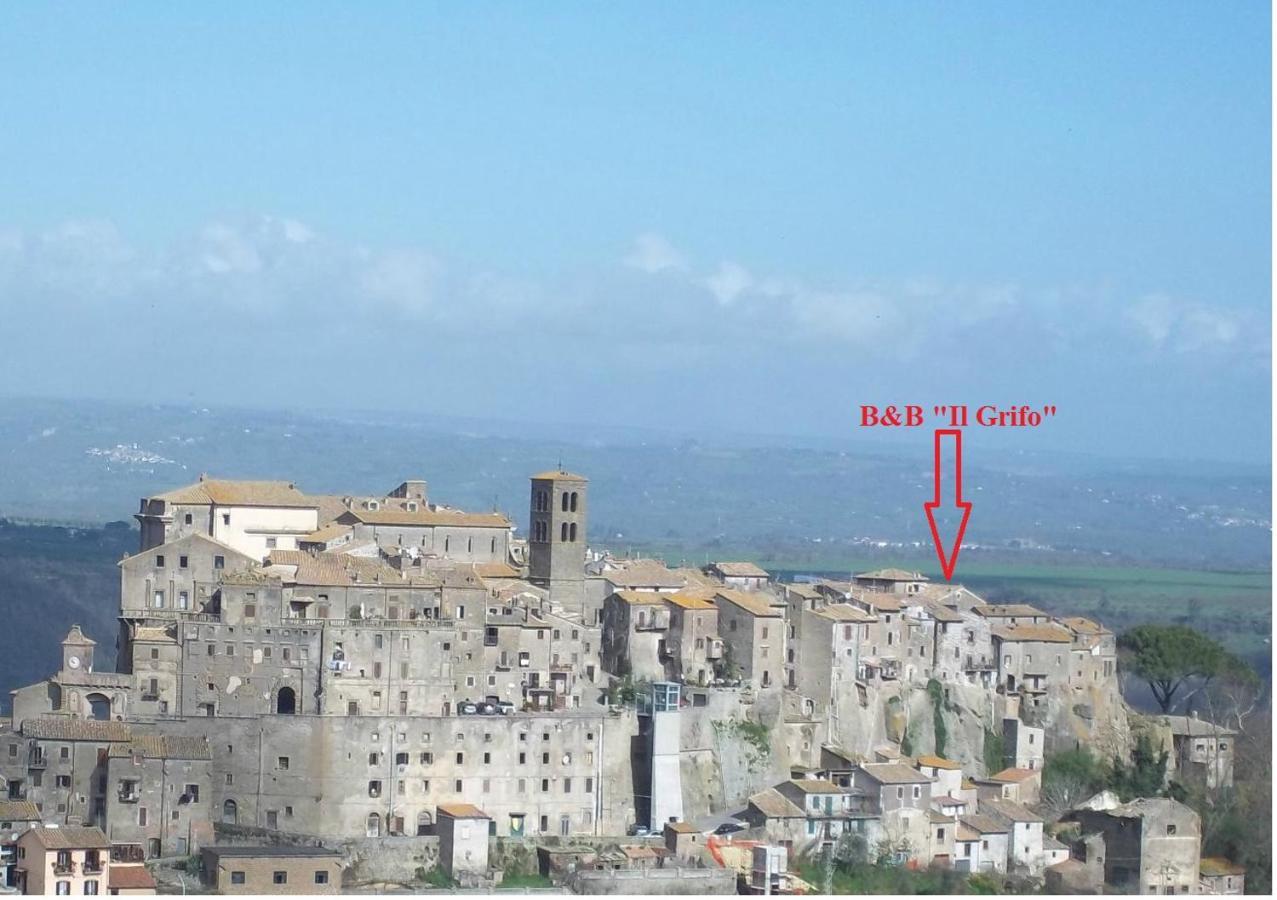 B&B Il Grifo Bomarzo Ngoại thất bức ảnh