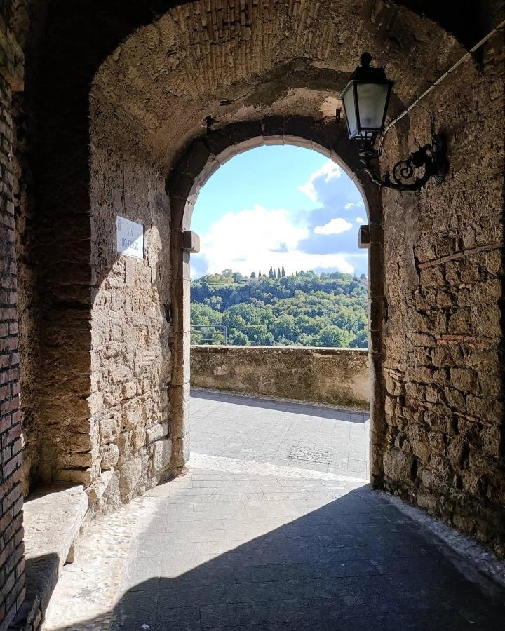 B&B Il Grifo Bomarzo Ngoại thất bức ảnh