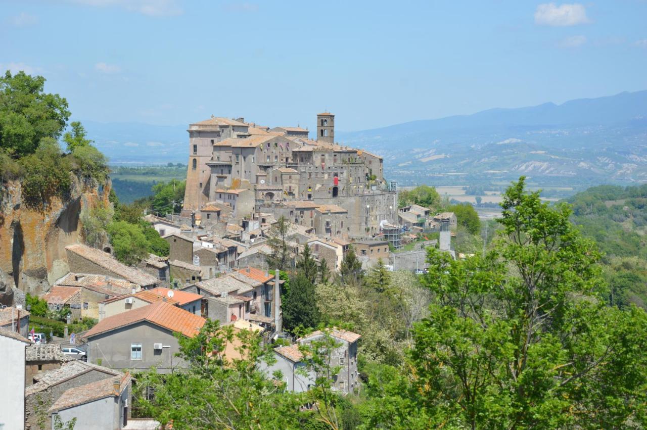 B&B Il Grifo Bomarzo Ngoại thất bức ảnh